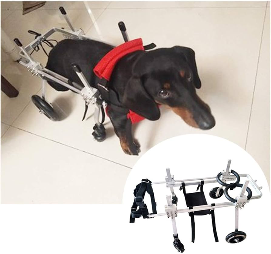 Amazon.co.jp: 老犬、猫、ウサギ、スクーター用の4輪ペット